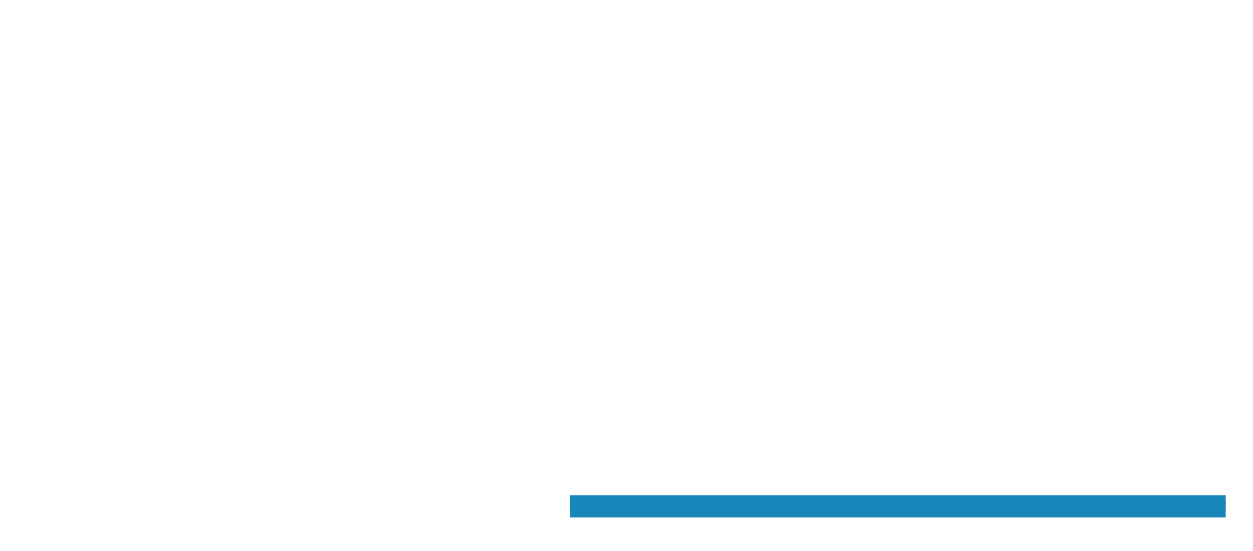 Designed to Deliver - DSA Architects International